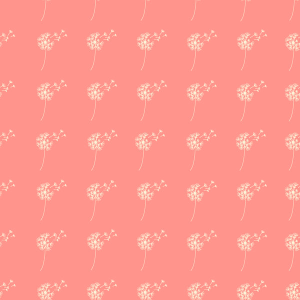 Dandelions on Pink - Dandelion Wishes Collection