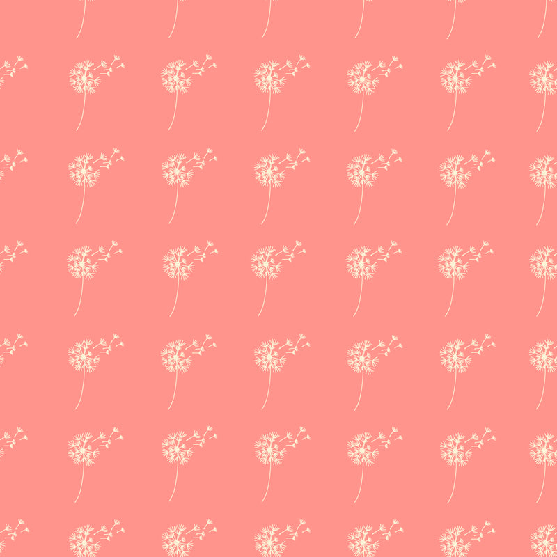 Dandelions on Pink - Dandelion Wishes Collection