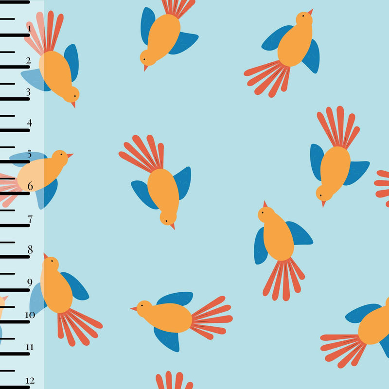 Birds