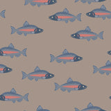 Coho Salmon