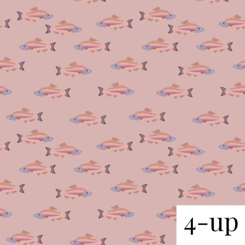 Pink Salmon