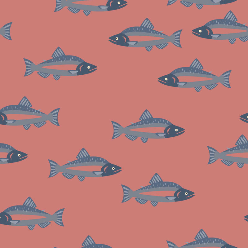Coho Salmon