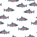 Coho Salmon