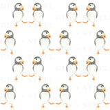 Puffins