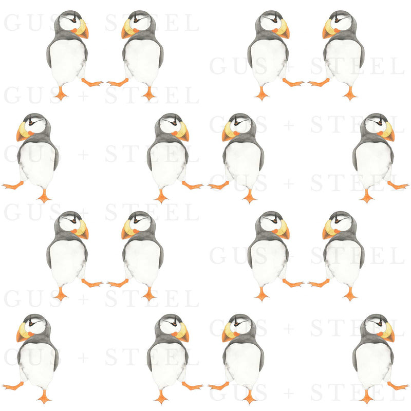 Puffins