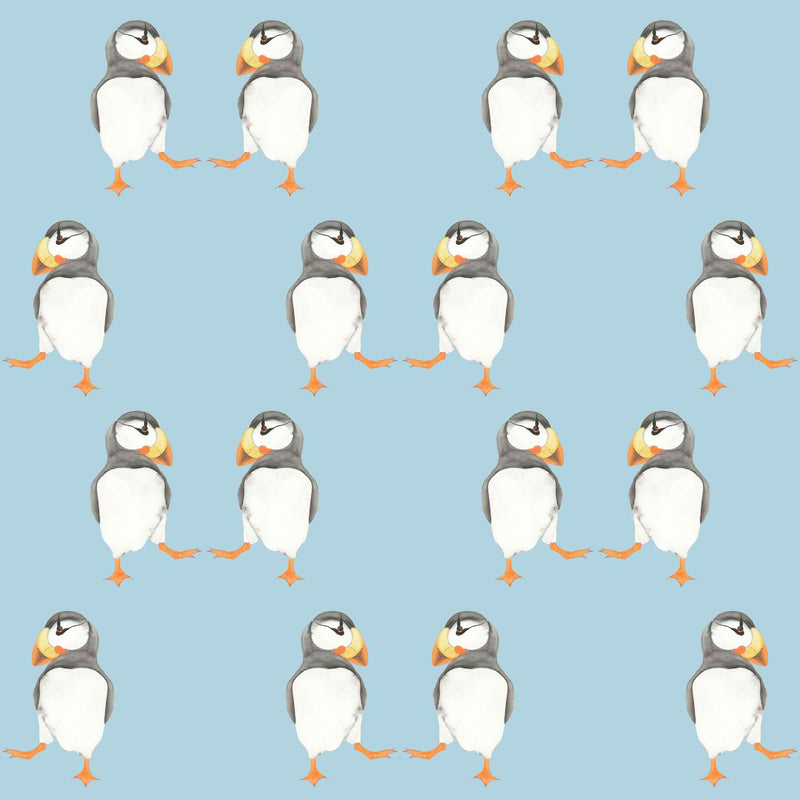 Puffins