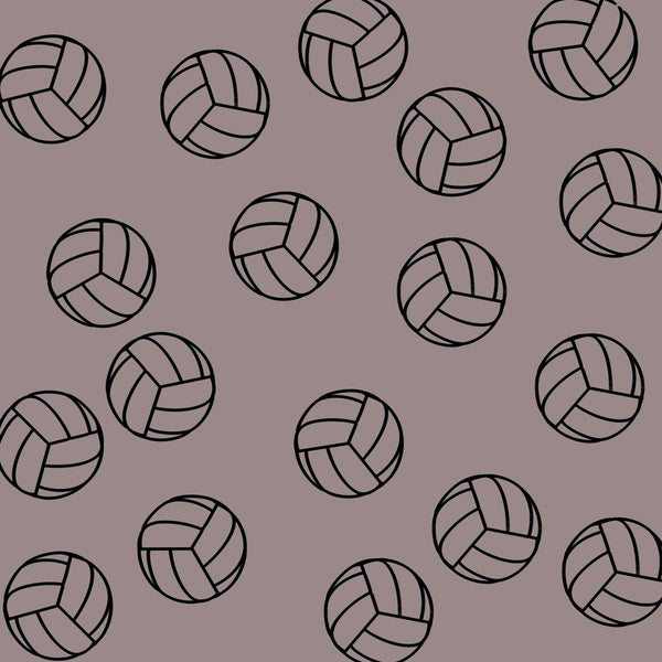 Volleyballs